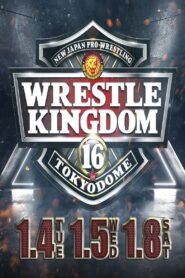 NJPW Wrestle Kingdom 16: Night 2